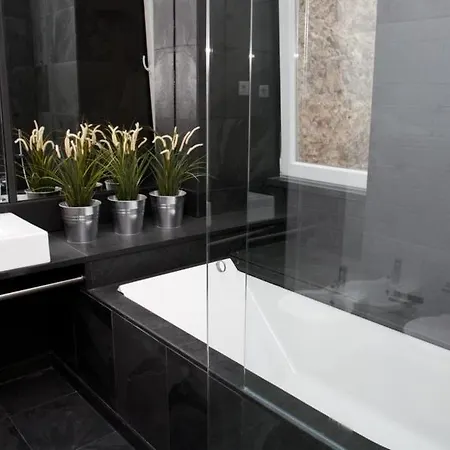 Hello Terreiro Do Paco Collection